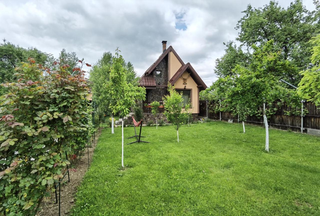 Conacul Caterinei Hotell Polovragi Exteriör bild