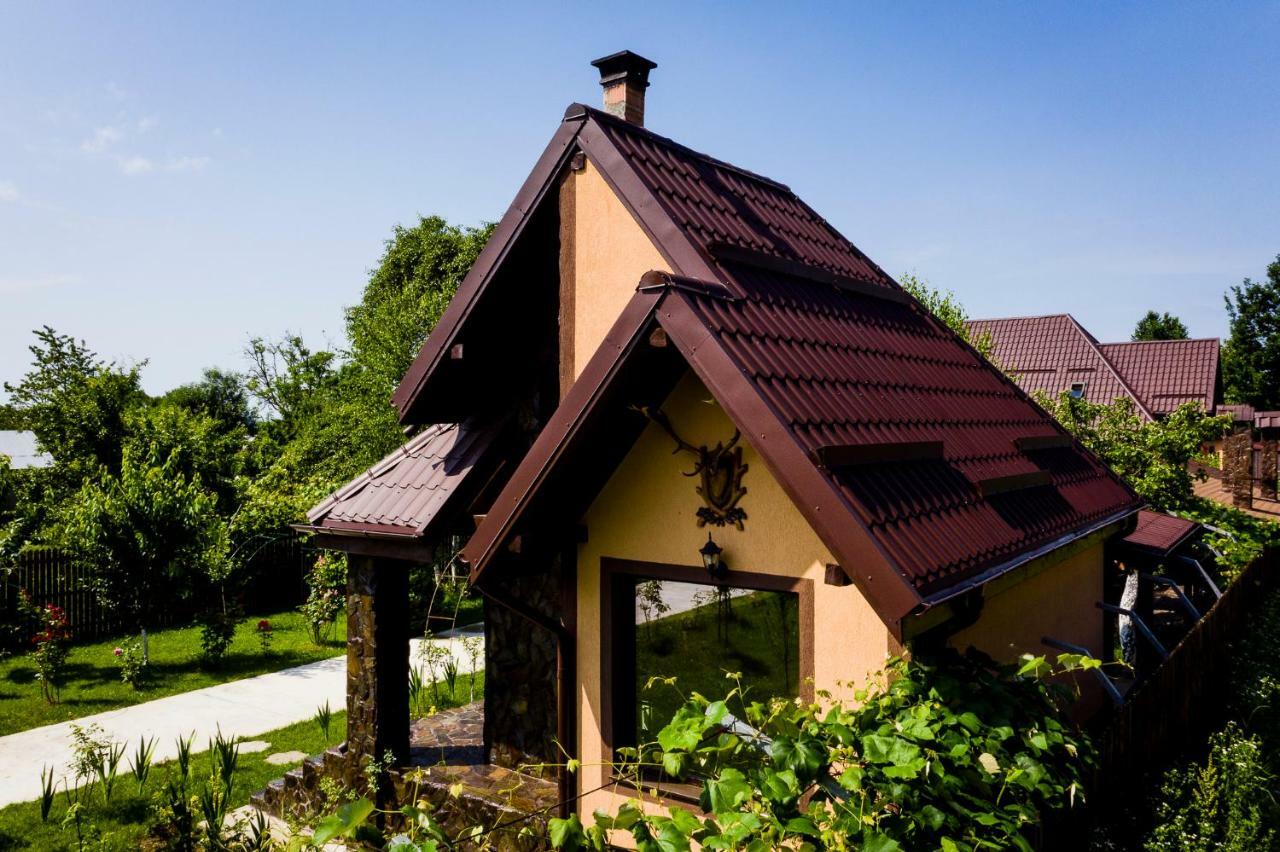 Conacul Caterinei Hotell Polovragi Exteriör bild