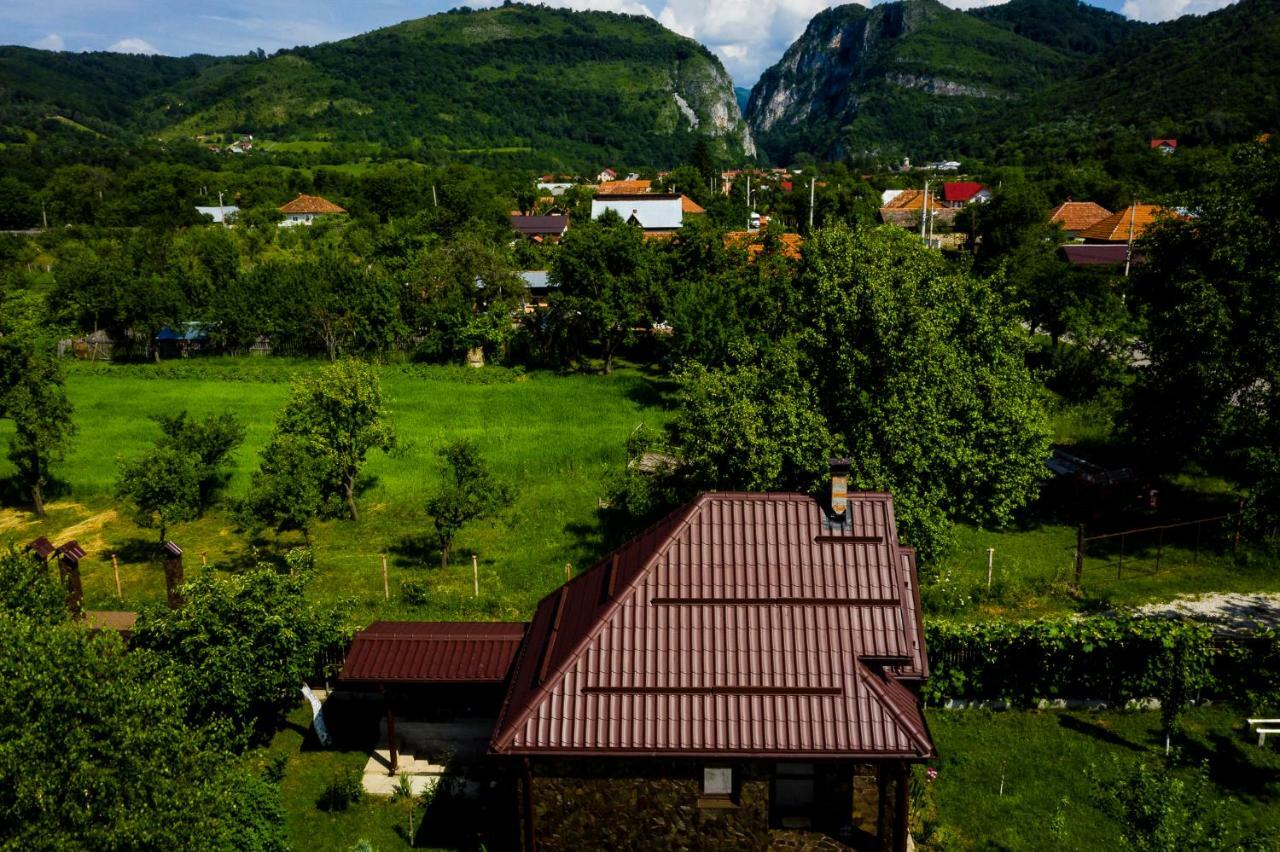 Conacul Caterinei Hotell Polovragi Exteriör bild