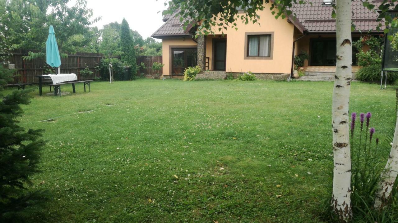 Conacul Caterinei Hotell Polovragi Exteriör bild